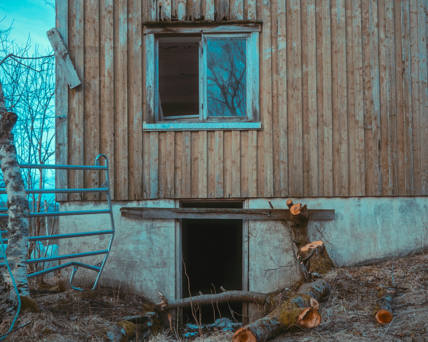 blog Image