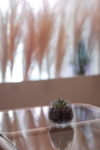 House Cleaning in Alphington Vic 3078 - Cleaning services you can rely on