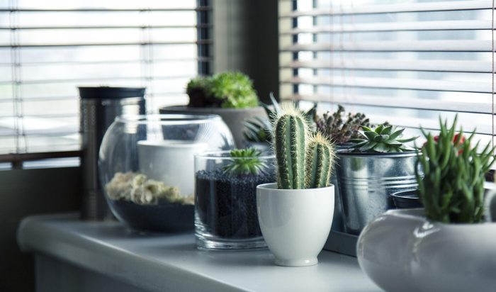 House Cleaning in Macleod Vic 3085 - Cleaning services you can rely on