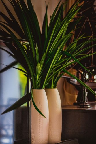 End of Lease Cleaning in Ashburton Vic 3147 - Cleaning services you can rely on