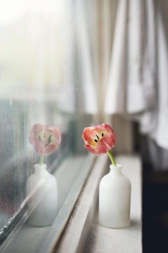 House Cleaning in Blackburn Vic 3130 - Cleaning services you can rely on