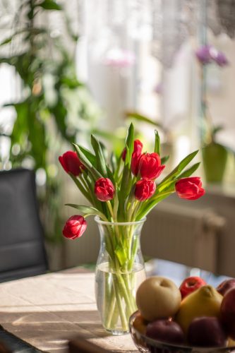 End of Lease Cleaning in Deepdene Vic 3103 - Cleaning services you can rely on