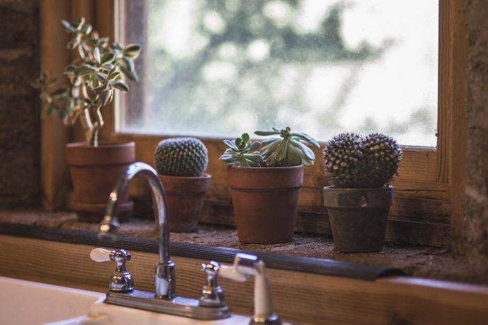 House Cleaning in Mentone Vic 3194 - Cleaning services you can rely on