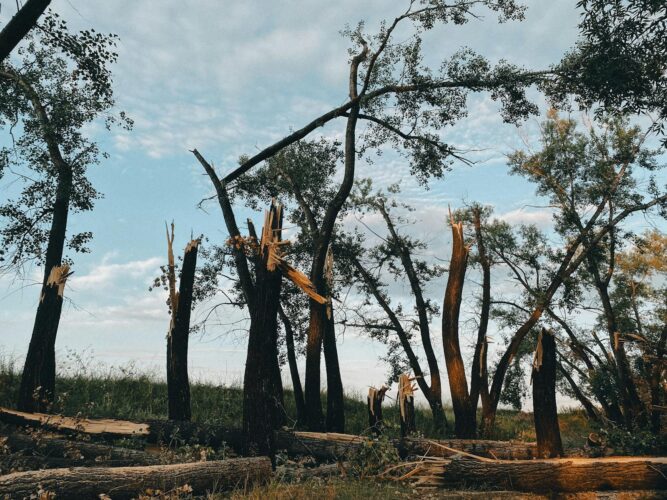 storm damage