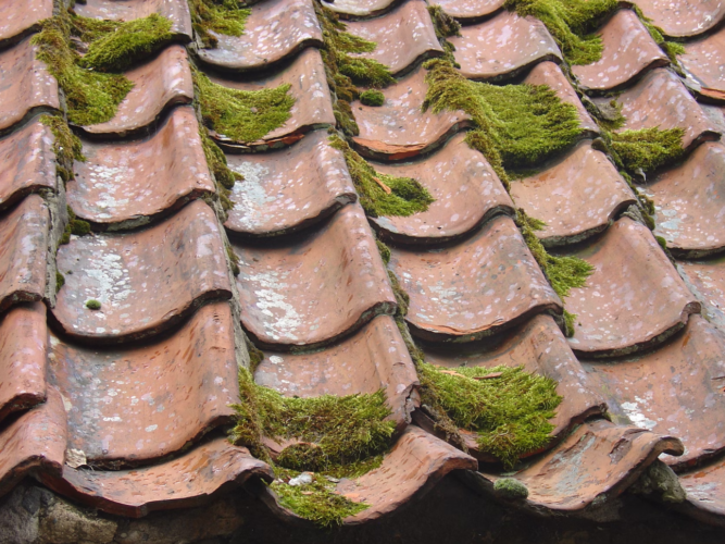 How to Secure and Ensure a Quality Roof for Your Home
