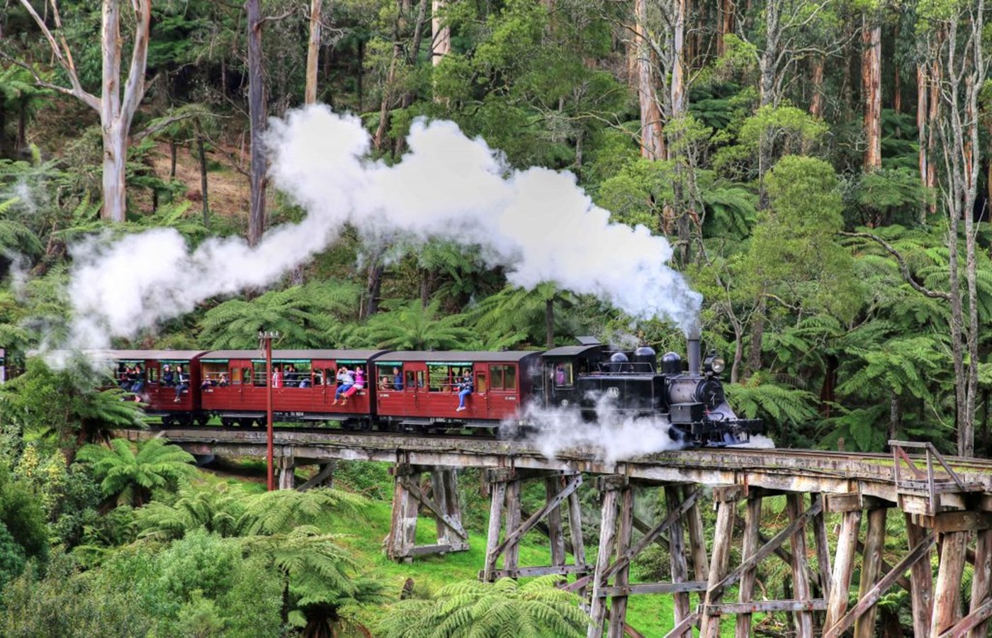 Puffing Billy Melbourne Eastern Suburbs
